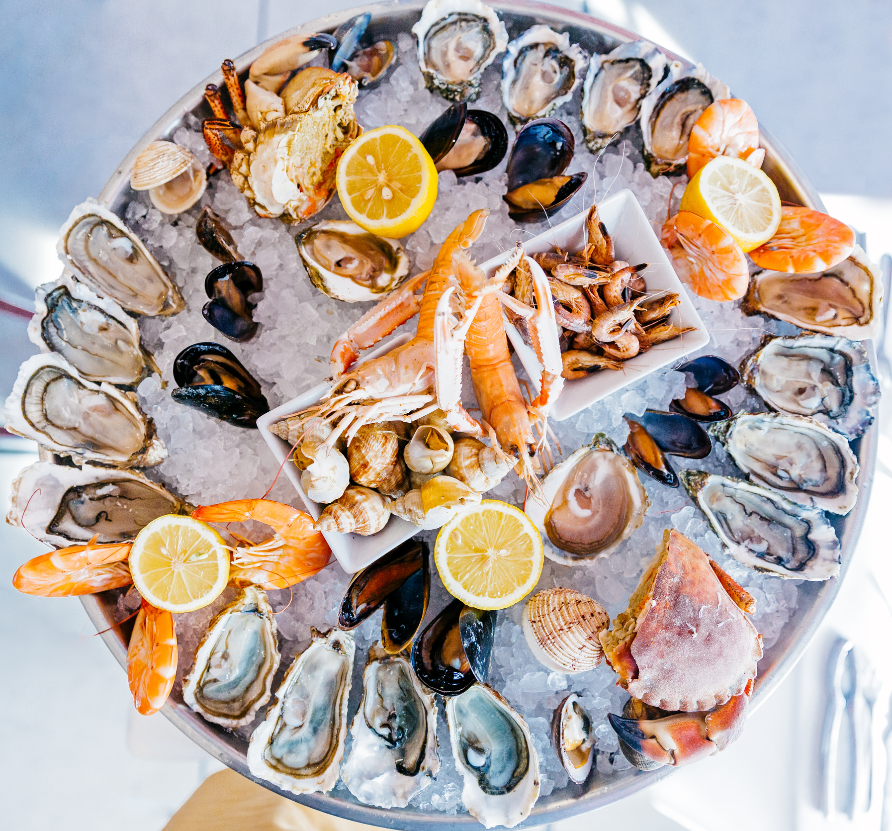 seafood distributor finds financing with LSQ